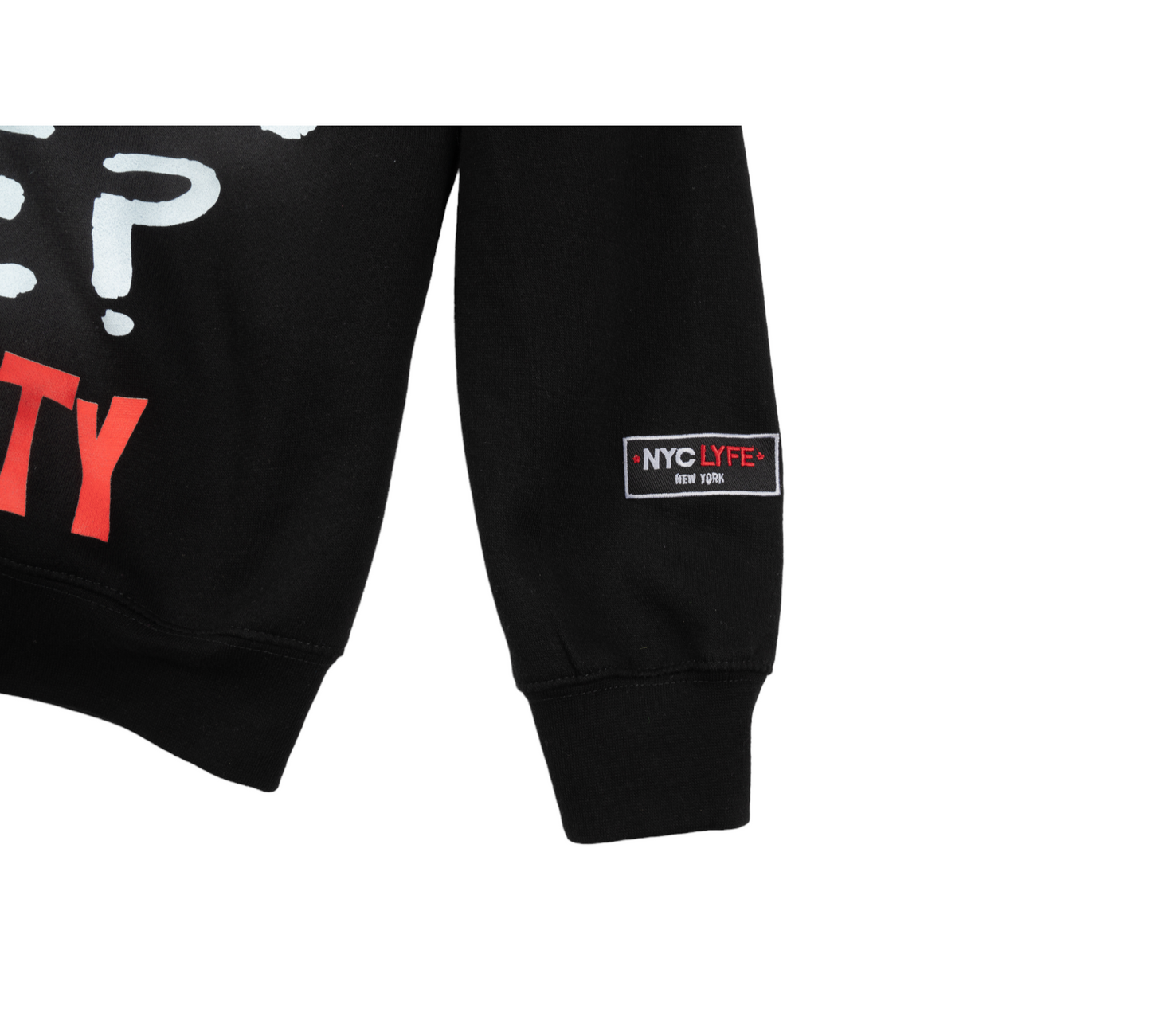 WILL HATE OVERCOME LOVE? (NOT IN MY CITY) HOODIE